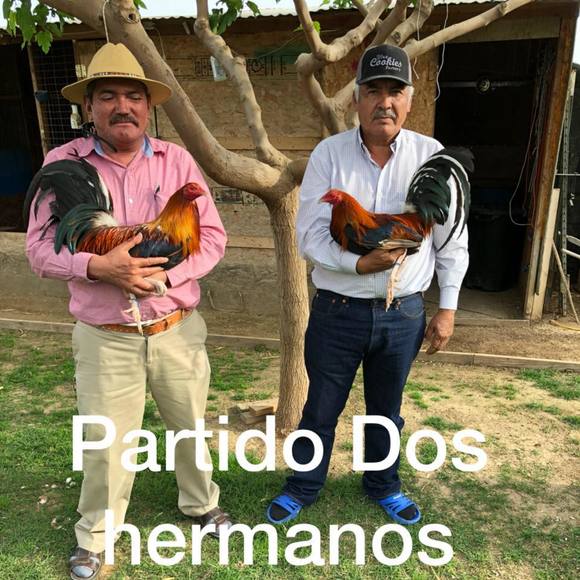 Meet your Posher, Octavio - Picture 1 of 1